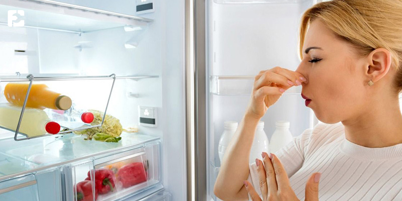 تاثیر دما نادر در یخچال