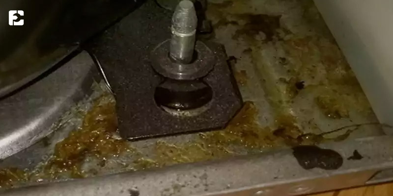 مشاهده لک روغن علائم روغن ریزی یخچال