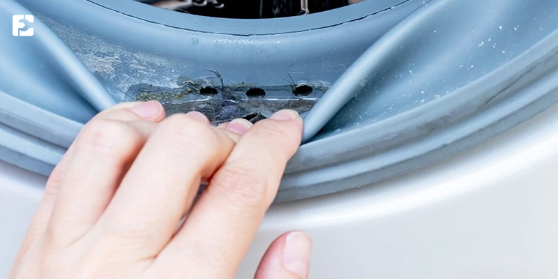 بوی نامطبوع